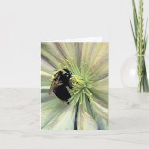 Photographie d'abeille sur fleur de clématite