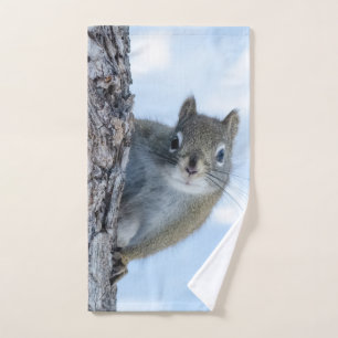 Photographie d'animal, Écureuil curieux