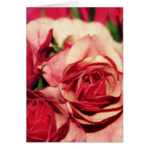 Photographie de beaux-arts de bouquet de rose de