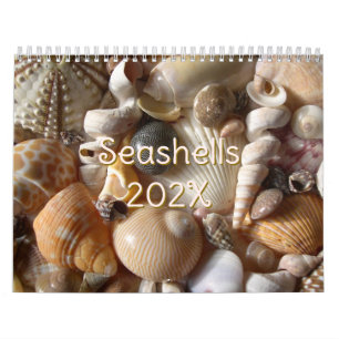 Photographie de coquillages tropicaux Calendrier d