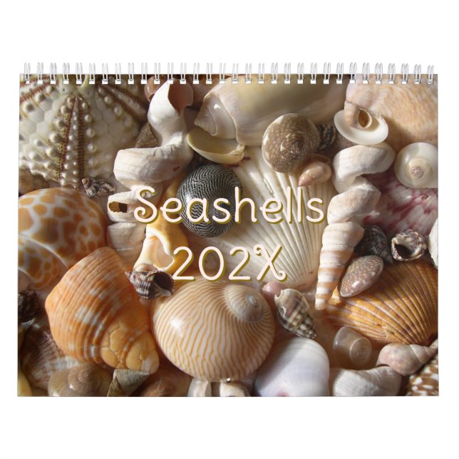 Photographie de coquillages tropicaux Calendrier d (Protection)