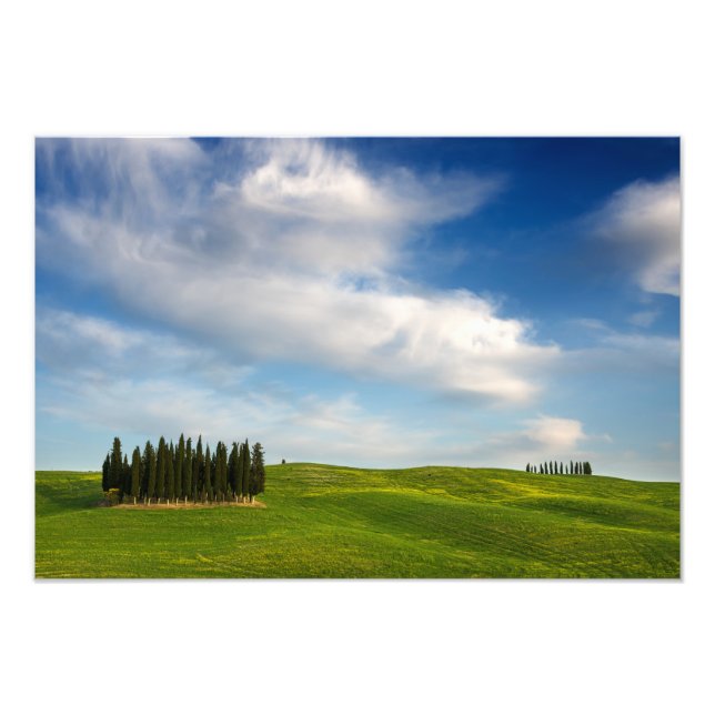 Photographie de Cypress en Toscane (Devant)