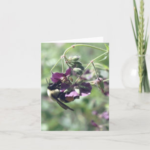 Photographie de fleur avec abeille et pollen