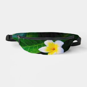 Photographie de fleurs de plumeria