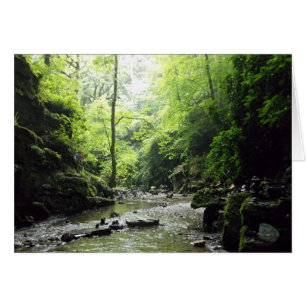 Photographie de Glen Cornwall de St Nectan