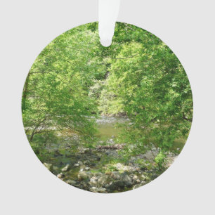 Photographie de la nature dans le Maryland, vue su