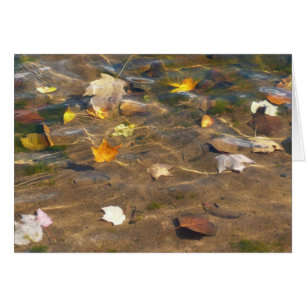 Photographie de la nature des feuilles d'automne d