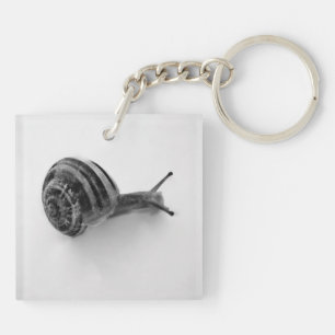 Photographie de la nature d'un escargot de jardin