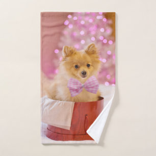 Photographie de Noël d'un chien mignon avec un nœu