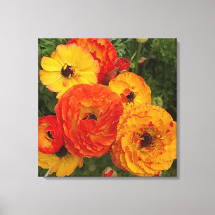 Photographie de pavots frais en toile étirée Impri