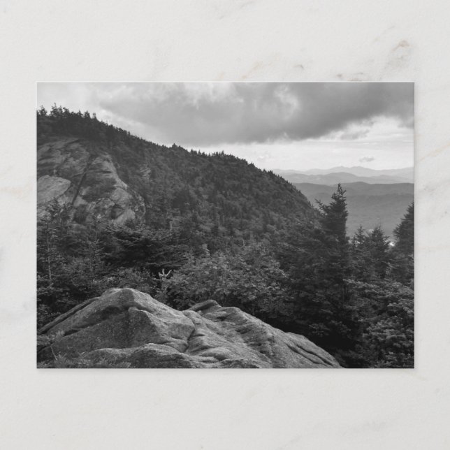 Photographie de paysage forestier sur carte postal (Devant)