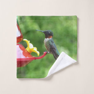 Photographie d'oiseau de colibri à gorge rubis