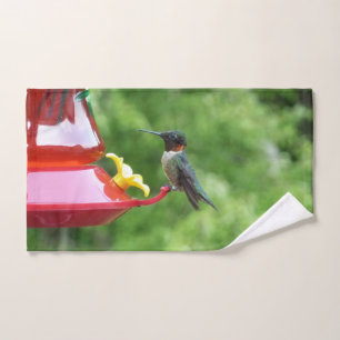 Photographie d'oiseau de colibri à gorge rubis