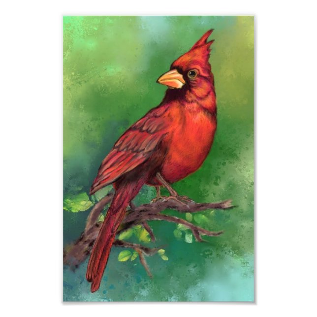 Photographie d'oiseau du Cardinal rouge du Nord (Devant)