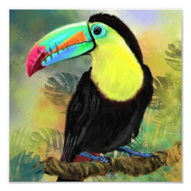Photographie d'oiseau tropical Toco Toucan - Peint (Devant)