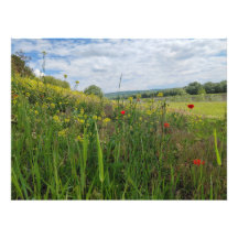 Photographie du bord de la rivière
