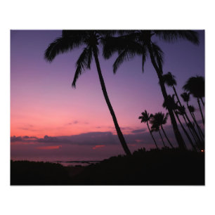 Photographie du coucher de soleil tropical rose et