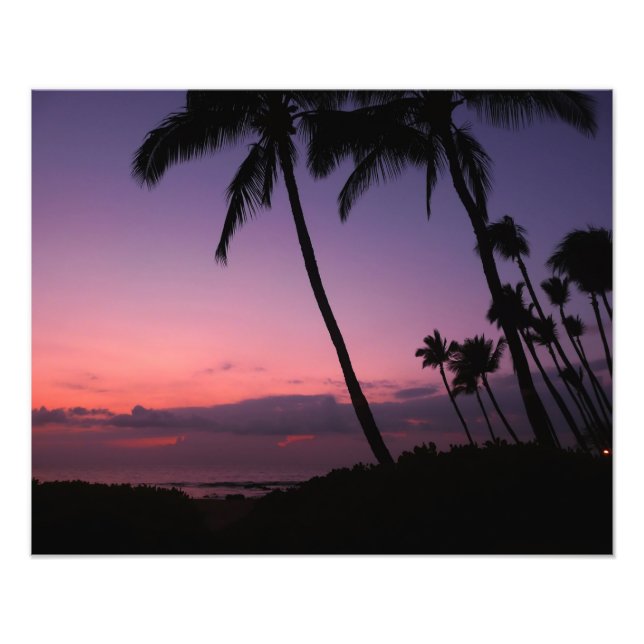 Photographie du coucher de soleil tropical rose et (Devant)