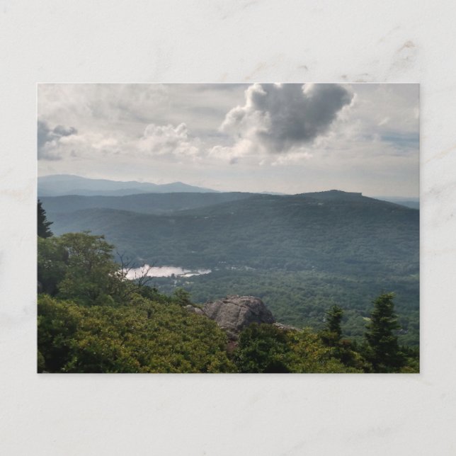 Photographie du paysage forestier sur carte postal (Devant)