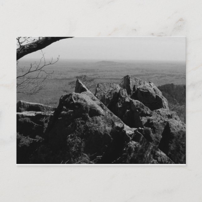 Photographie du paysage forestier sur carte postal (Devant)