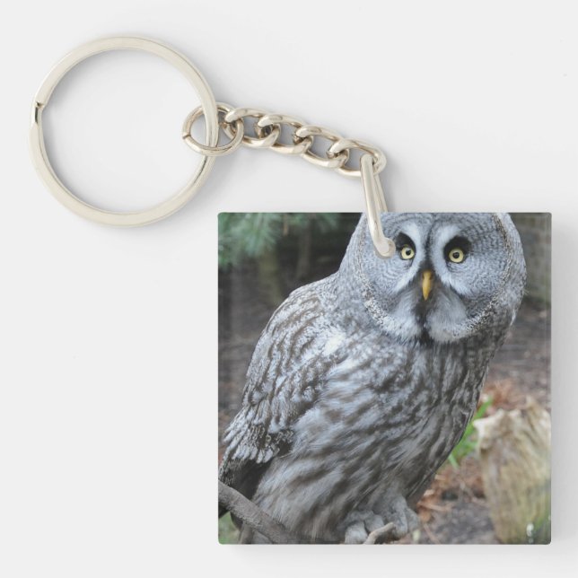 Photographie du portrait d'hibou (Devant)