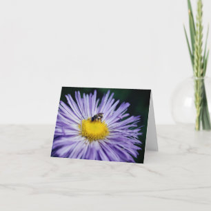 Photographie d'une abeille sur une fleur de margue