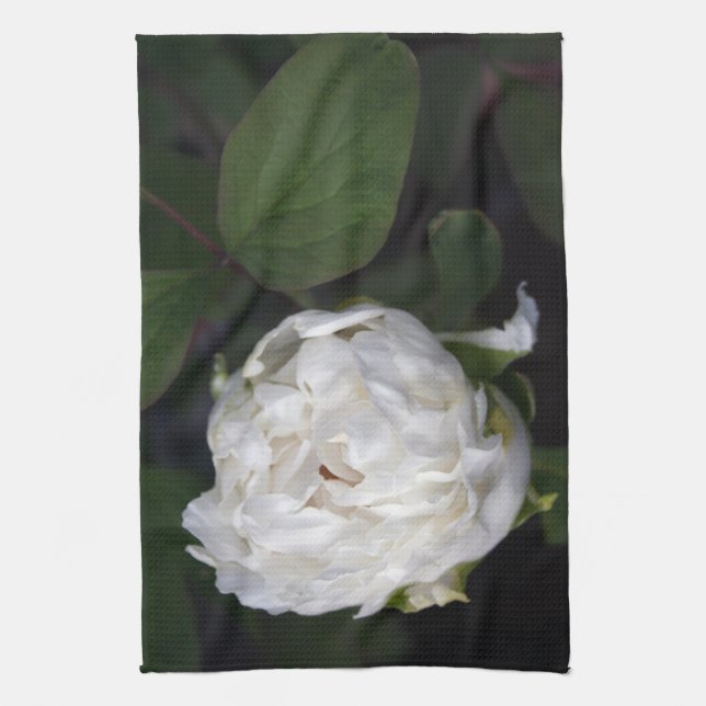 Photographie florale Peony blanc - Serviettes de c (Vertical)