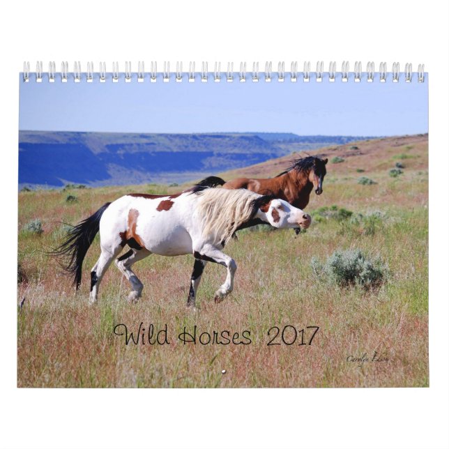 Photographie par le calendrier de cheval sauvage (Protection)