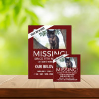 Photographie personnalisée, Cartes pour animaux de