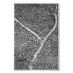 Photographie Y1 4x6 noir et blanc de lettre