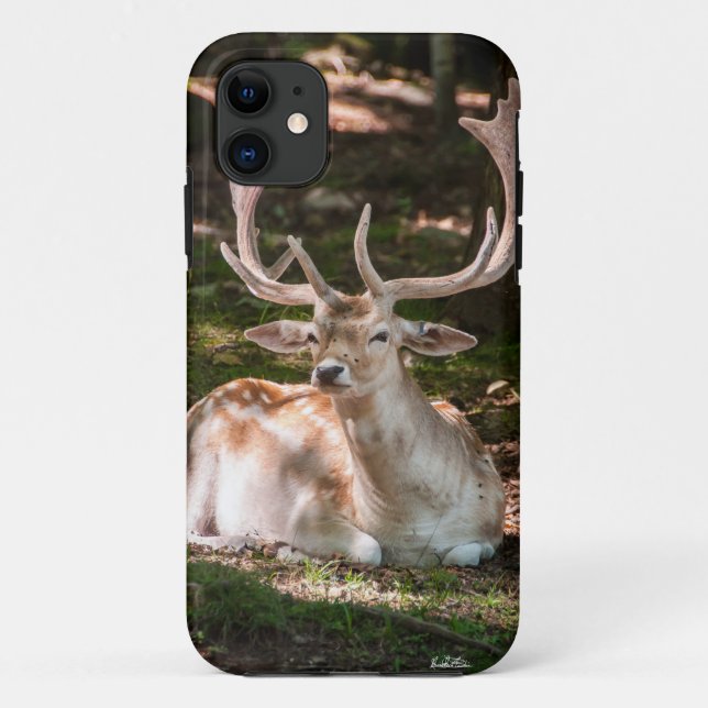 Photohirsch unter den Wäldern Case-Mate iPhone Hülle (Rückseite)