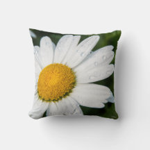 Photokissen, ein margueritte machen Grün