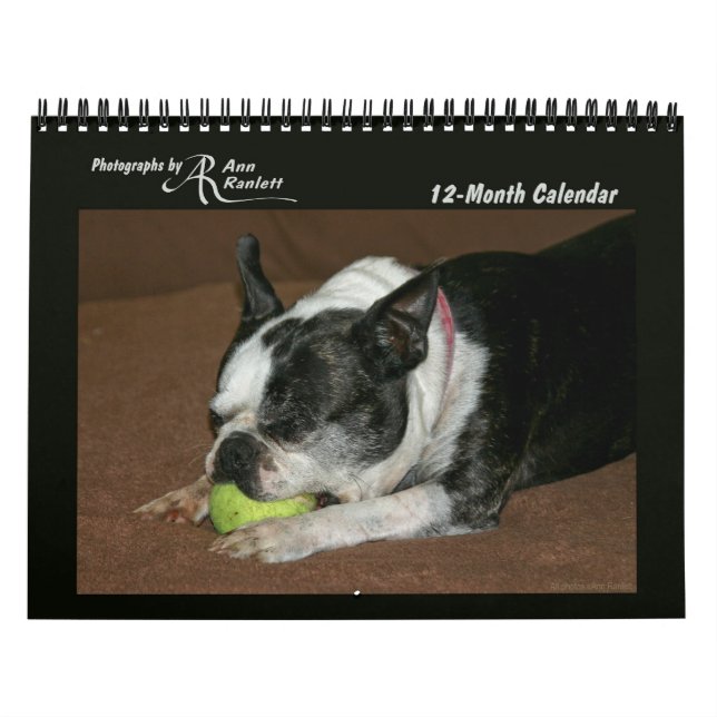 Photos d'animaux - Calendrier de 12 mois (Protection)