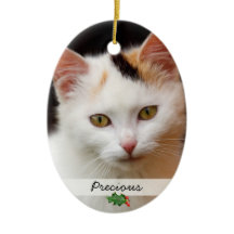Photos d'animaux de compagnie, Ornement double fac