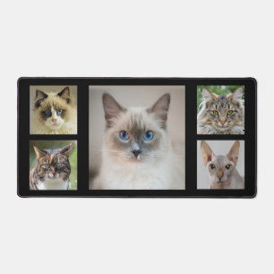 Photos de chat personnalisés élégants sur fond noi