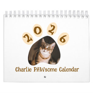 Photos de chats pour créer votre calendrier person