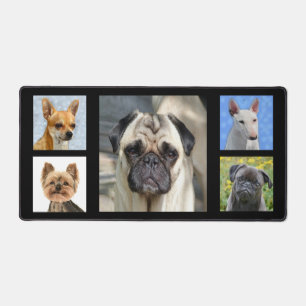 Photos de chiens personnalisées sur fond noir