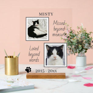 Photos Et Citations De Cat Pet Memorial