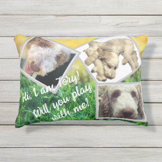 Photos et textes encadrés modifiables Coussin exté