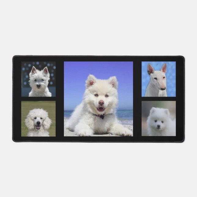 Photos personnalisées de chiens blancs sur le chat (Recto)