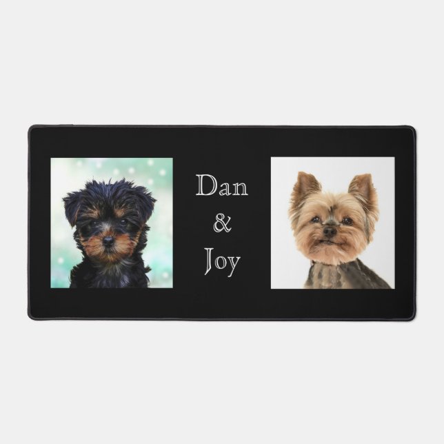 Photos personnalisées de petits chiens sur le chat (Recto)