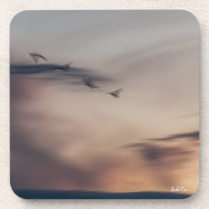 Photovögel abstrakt untersetzer