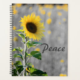 Phrase "Paix", Champ de tournesols, Noir & Blanc