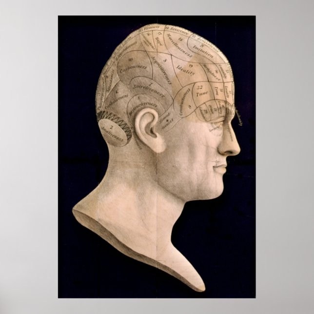 Phrenologie 1834 poster (Vorne)