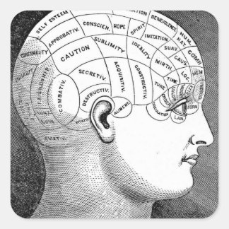 Phrenologie Kopfdiagramm Quadratischer Aufkleber