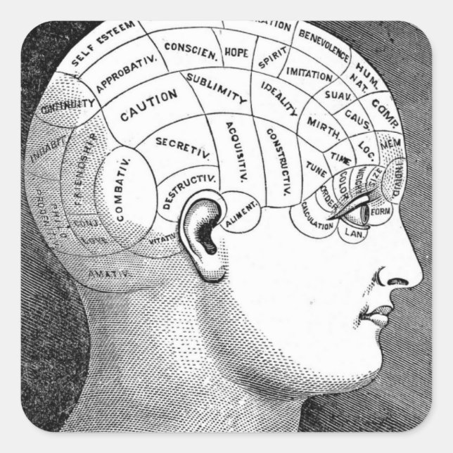 Phrenologie Kopfdiagramm Quadratischer Aufkleber (Vorderseite)