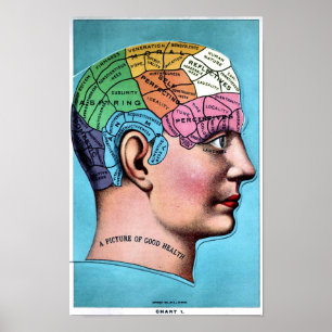 Phrenologie-Plakat Poster