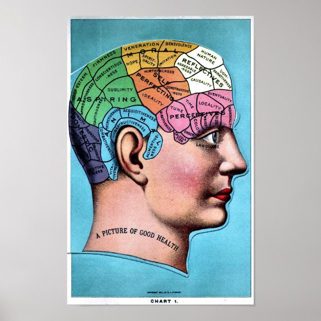 Phrenologie-Poster Poster (Vorne)