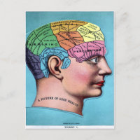 Phrenologie-Postkarte