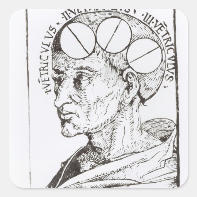 Phrenologie Quadratischer Aufkleber (Vorderseite)